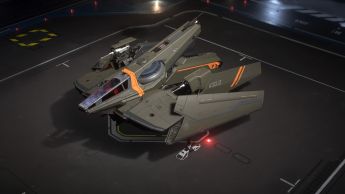 Hawk - Timberline Paint