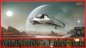 cig, cloud, imperium, gaming, rsi, roberts, space, industries, sc, star, citizen, wildkarrdes, wildkarrde's, wild, card, wildcard, emporium, standalone, ship, 10, ten, year, years, insurance, origin, 300i, touring, starter