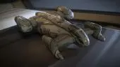 Cutlass Steel Plushie - Subscriber Exclusive