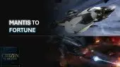 Upgrade - Mantis to Fortune (Standard Edition)