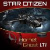 Anvil Hornet Ghost LTI (CCU'ed)