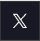 x-icon